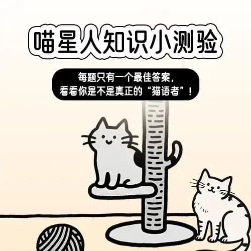 多叉树答题 (计分模式)